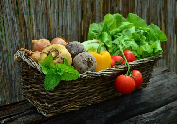 Food resources